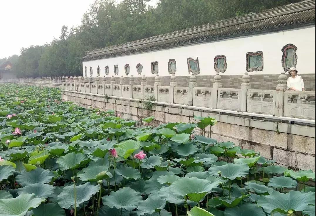 我與北京的心悅約會 ——記南昌民德學(xué)校初中部北京研學(xué)活動(dòng)（二）